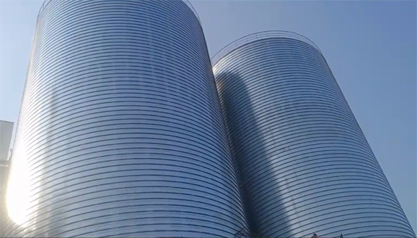 沙湾2座混凝土高架卷板仓